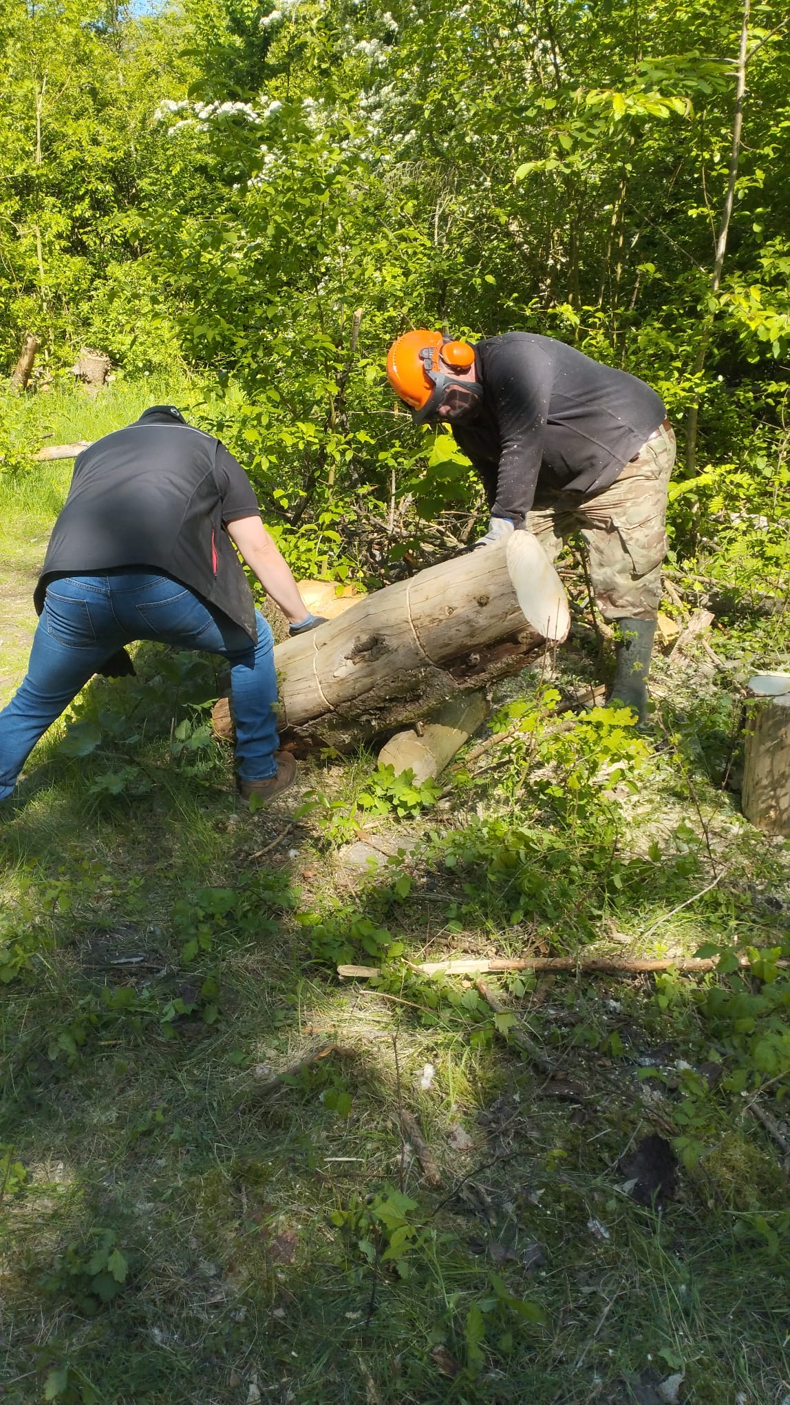 Der 2. Arbeitseinsatz im Jahr 2025