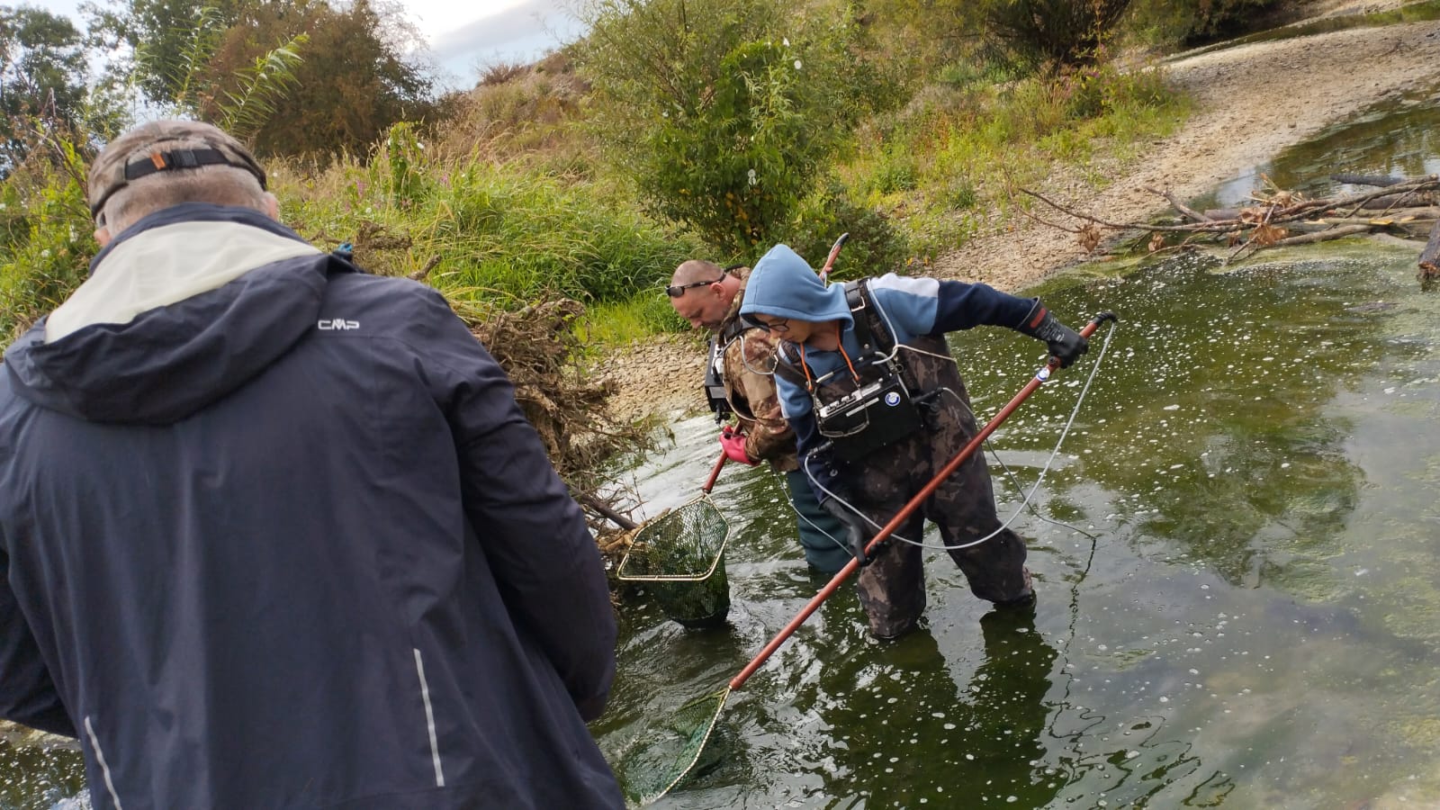 Fischrettung bei Niedrigwasser an der Alme 30.08.2025