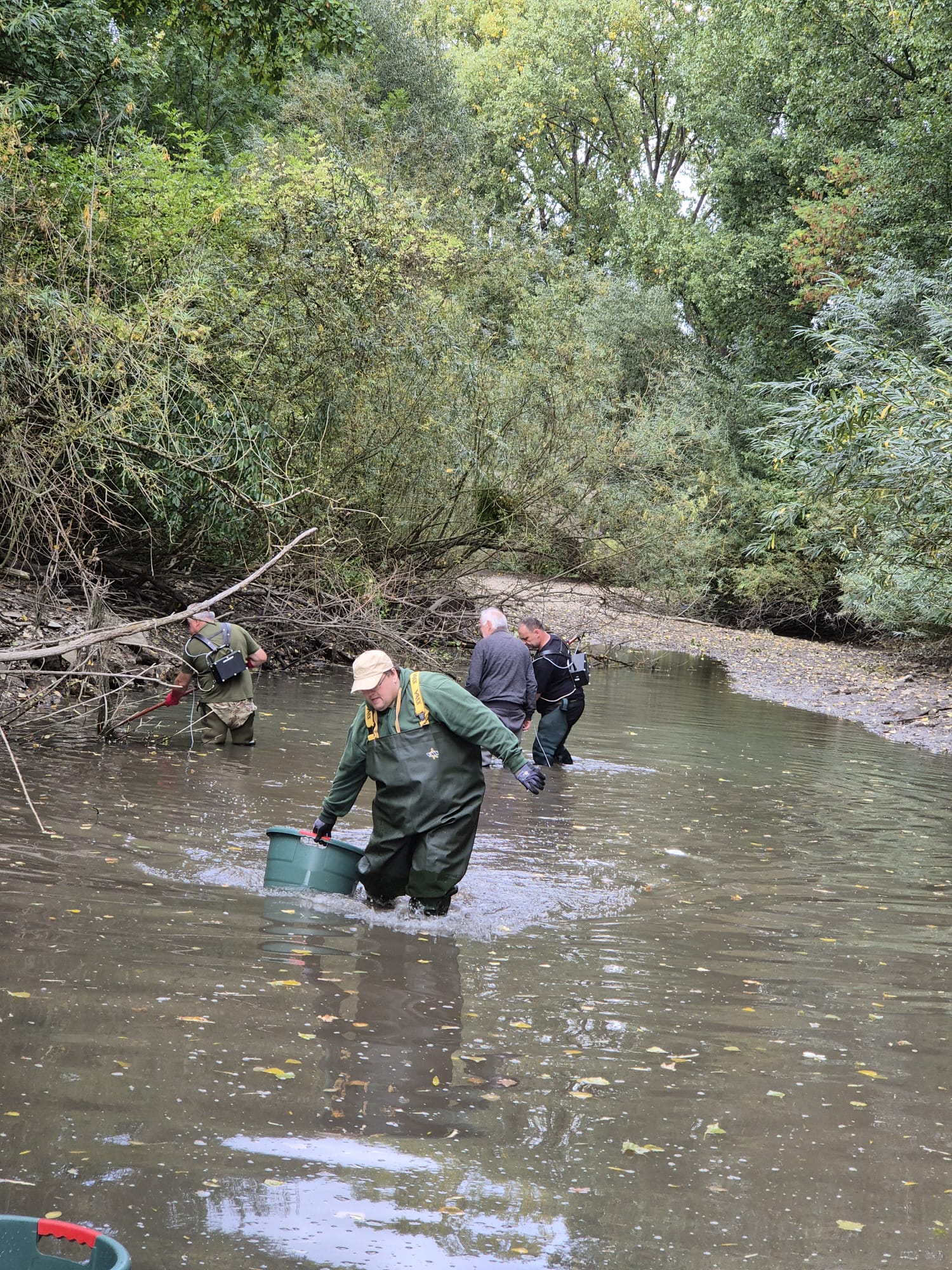Erneute Fischrettung bei Niedrigwasser an der Alme 2025